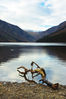 Driftwood