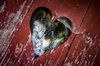 Filename=Forgotten-55372-2.jpg
Filesize=281KiB
Dimensions=800x530
Date added=Sep 17, 2012 Forgotten-55372-2.jpg