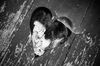 Filename=Forgotten-55372-3.jpg
Filesize=237KiB
Dimensions=800x530
Date added=Sep 17, 2012 Forgotten-55372-3.jpg