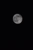 DSC_5659resize.jpg