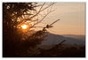 SunSet.jpg