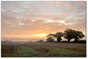 Sunrise.jpg