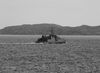 War3_28Large29.jpg