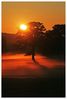 Chilterns_Sunrise.jpg
