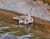 DSC_0166.jpg