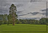Mallahide_Park.jpg