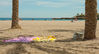 Filename=_MG_1547.jpg
Filesize=138KiB
Dimensions=600x326
Date added=Apr 26, 2009 _MG_1547.jpg